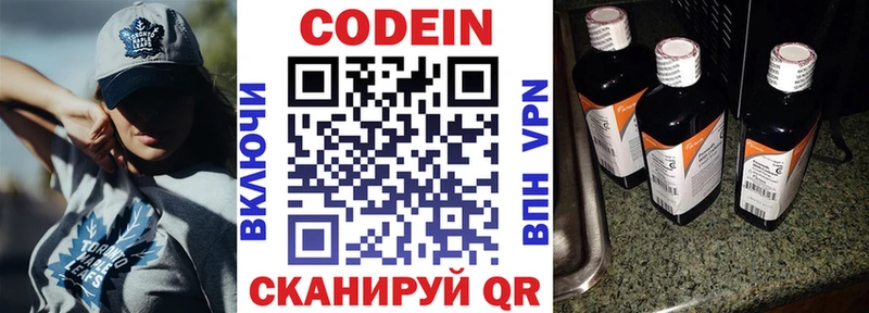 наркотики  нарко площадка телеграм  Кодеиновый сироп Lean Purple Drank  Заводоуковск 
