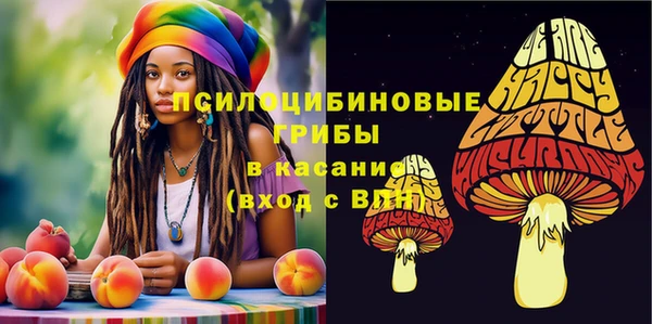 мескалин Сатка