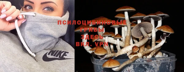 не бодяженный Алзамай