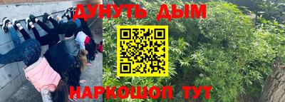 прущая мука Будённовск