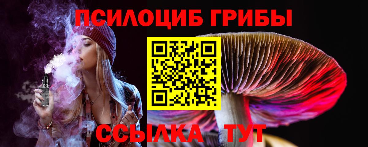 Заводоуковск  Псилоцибиновые грибы MAGIC MUSHROOMS  Вход с VPN  Галлюциногенные грибы прущие грибы 