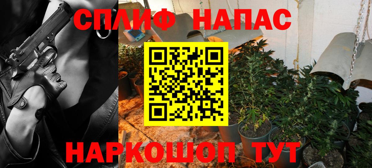 Шишки марихуана конопля Заводоуковск